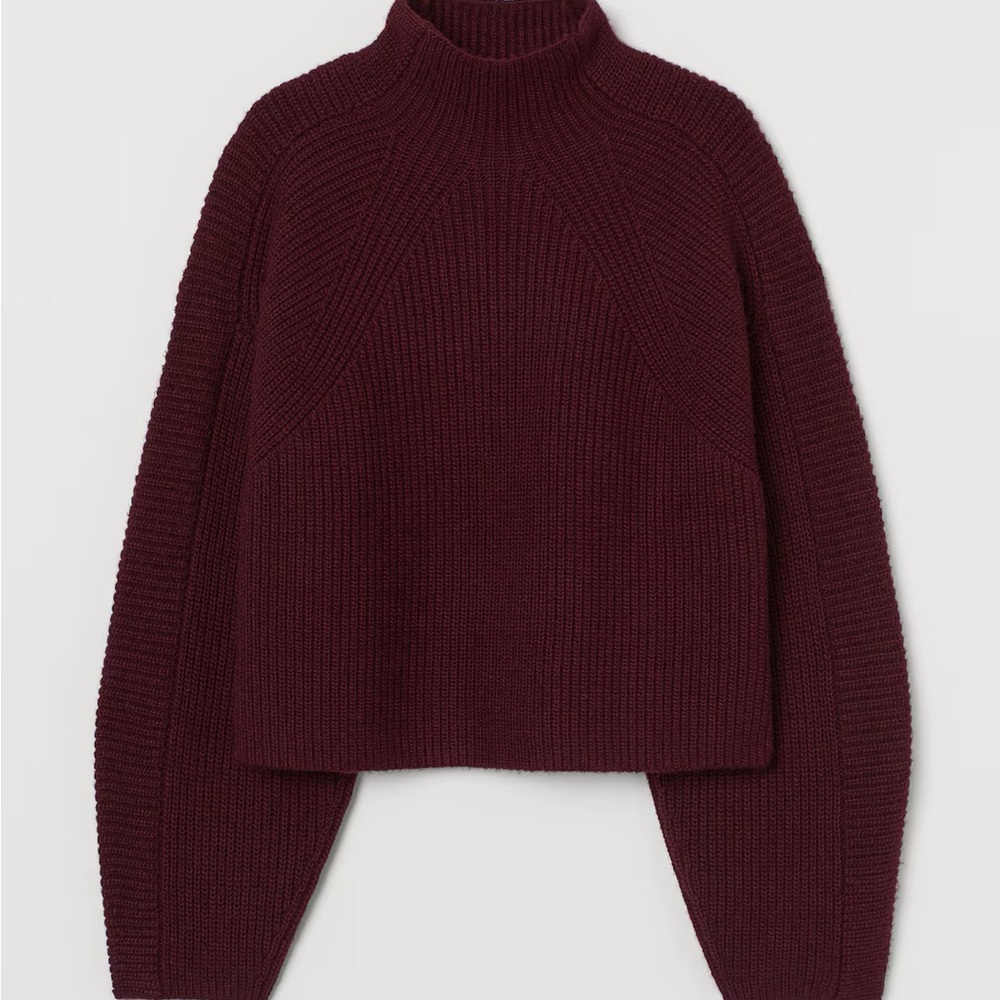 H&M Mockneck Rib Sweater in Maroon